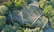 Bird Aviary